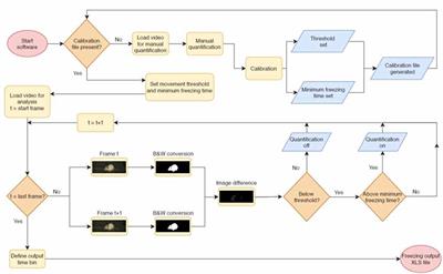A Freely Available, Self-Calibrating Software for Automatic Measurement of Freezing Behavior